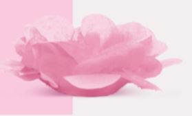 CROMUS Forminha Roses Rosa Claro 40und